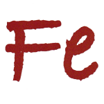 FE Logo