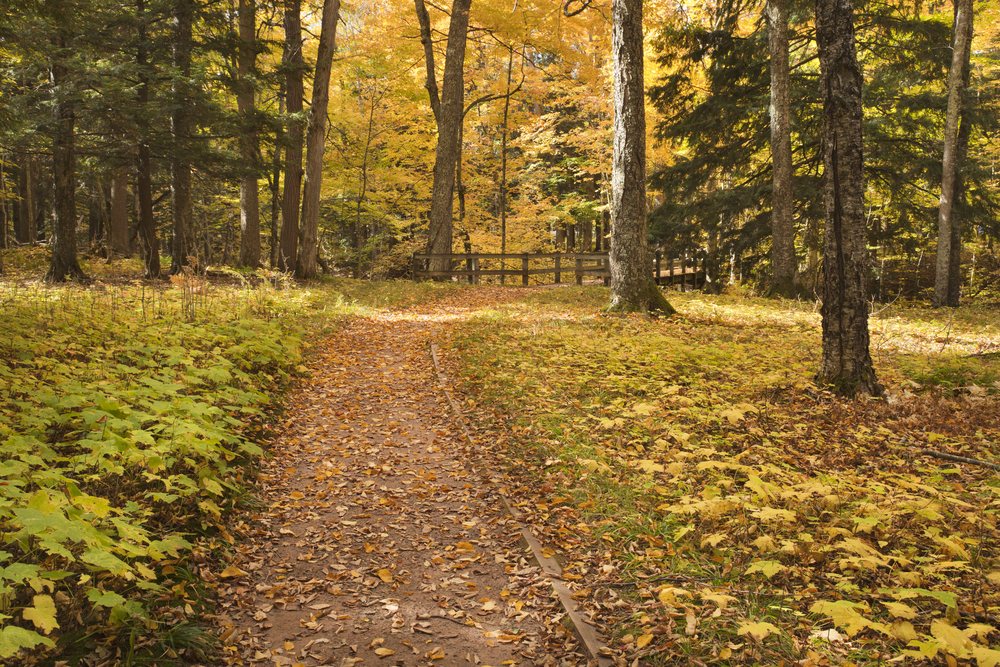 porcupine mountains